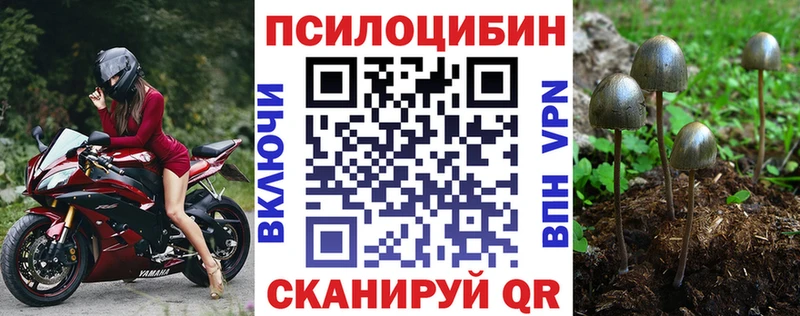 Купить закладки  Певек  Псилоцибиновые грибы GOLDEN TEACHER 